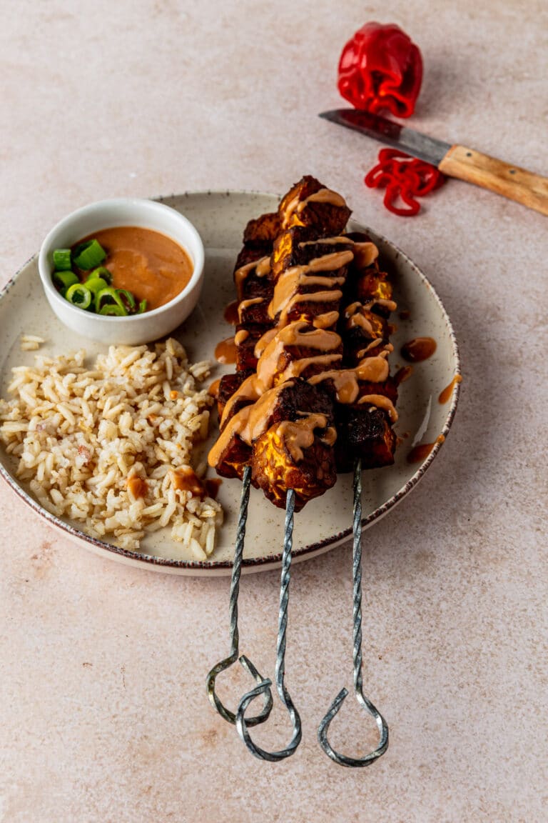 Vegan sate van tempeh