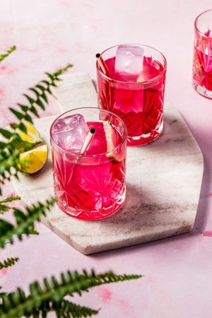 Gin pink margarita